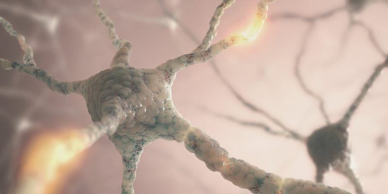 Neurons in the human body being effected by the use of an infrared sauna