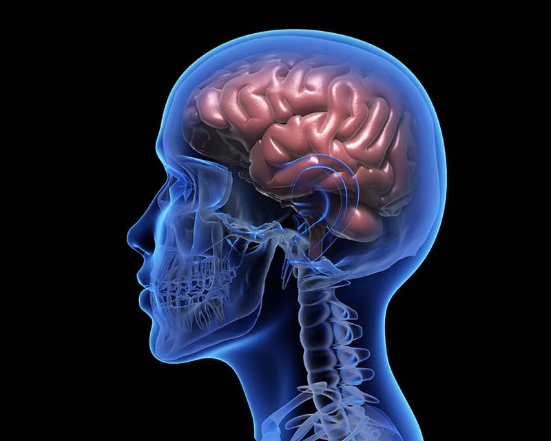 A human brain experiencing the positive stress-reducing benefits of infrared sauna therapy.