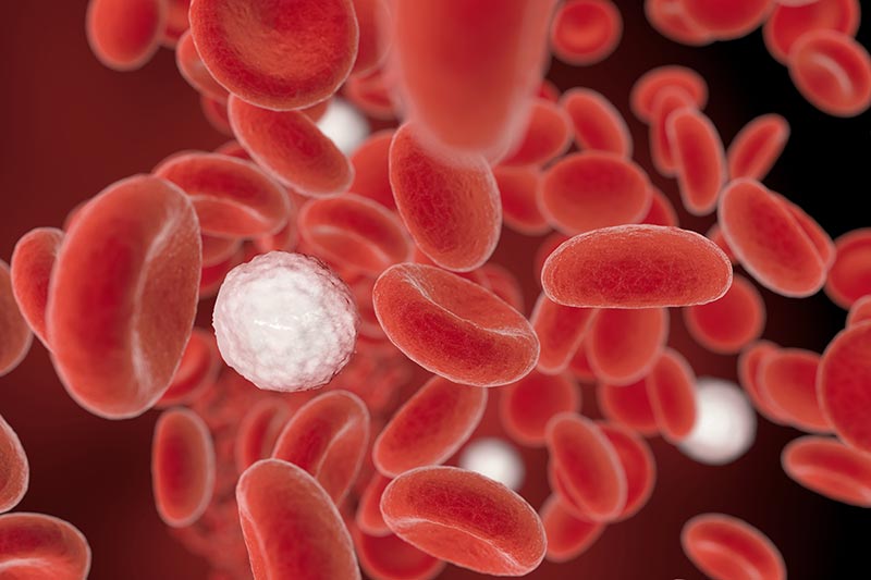 Human blood cells, which may benefit from infrared therapy