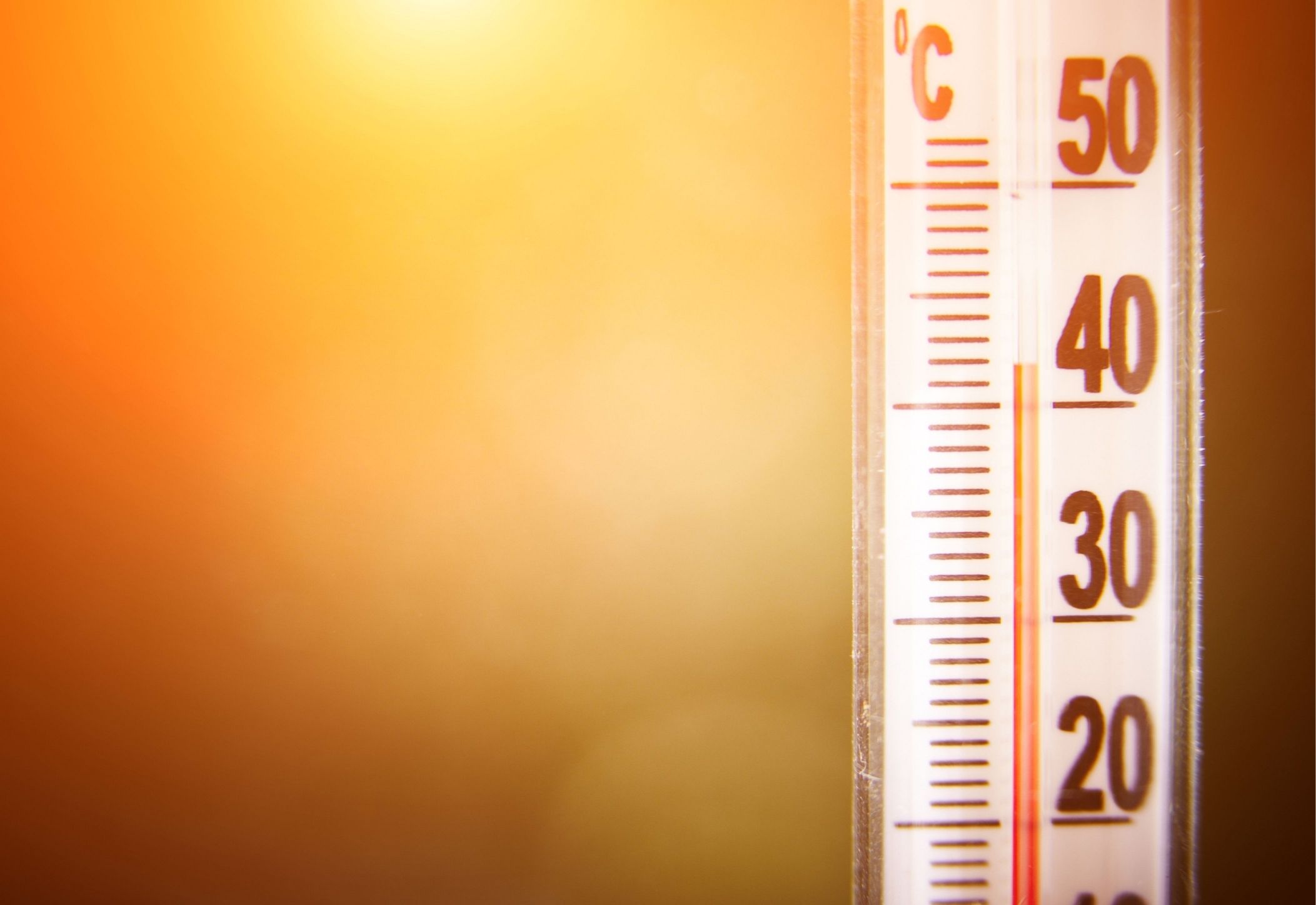 Heating Times For Infrared Saunas: A Guide On How To Set Your Sauna Temperature